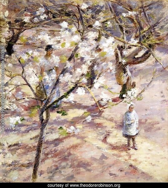 Blossoms at Giverny