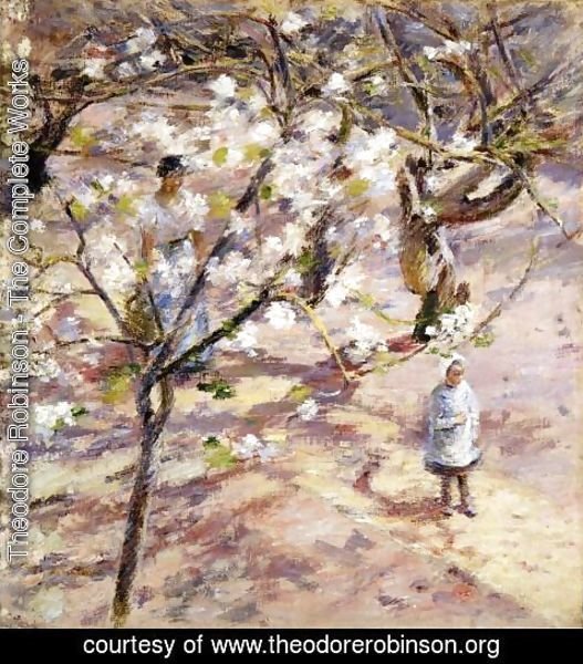 Theodore Robinson - Blossoms at Giverny